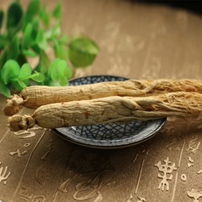 分类图片 保健食品