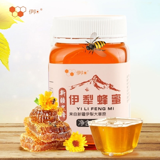 图片 伊阳 伊犁蜂蜜 500g