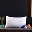图片 优艺尚 全棉羽丝枕（单只48*74cm)