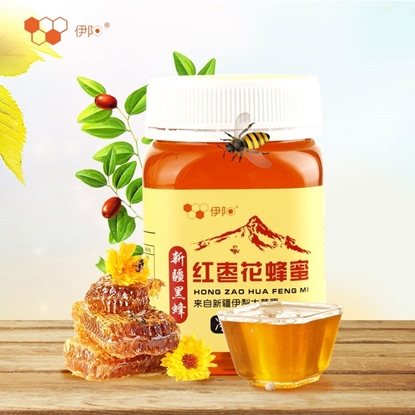 图片 伊阳 红枣花蜂蜜 500g
